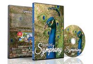 Relaxing Bird Dvd – Birds Symphony – Tropical Birds In Slow Motion From All Over The World With Bird Songs + Natural Sounds For Relaxation – Great Bird DVD For People – Cats And Pet Birds